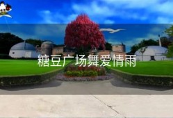 糖豆广场舞爱情雨