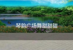 琴韵广场舞甜甜甜