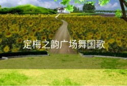 定梅之韵广场舞国歌