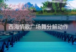 西海情歌广场舞分解动作