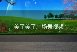 美了美了广场舞视频