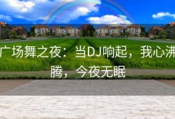 广场舞之夜：当DJ响起，我心沸腾，今夜无眠