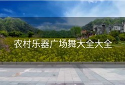 农村乐器广场舞大全大全