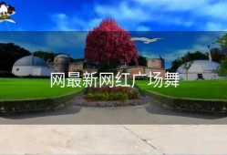 网最新网红广场舞