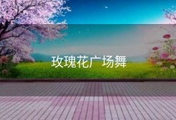 玫瑰花广场舞