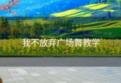我不放弃广场舞教学