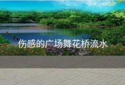 伤感的广场舞花桥流水