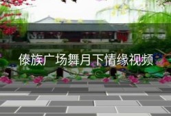 傣族广场舞月下情缘视频