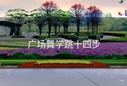 广场舞学跳十四步