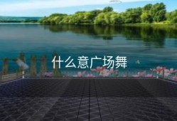 什么意广场舞