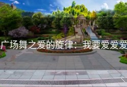 广场舞之爱的旋律：我要爱爱爱