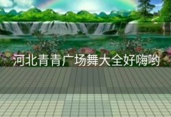 河北青青广场舞大全好嗨哟