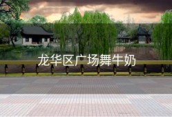 龙华区广场舞牛奶