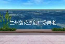 兰州莲花原创广场舞老