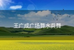 王广成广场舞水兵舞