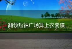 翻领短袖广场舞上衣套装