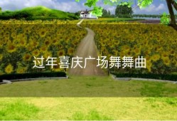 过年喜庆广场舞舞曲