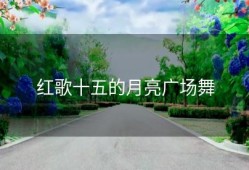 红歌十五的月亮广场舞