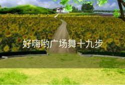 好嗨哟广场舞十九步