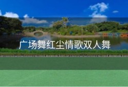 广场舞红尘情歌双人舞
