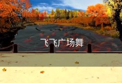 飞飞广场舞