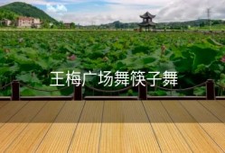 王梅广场舞筷子舞