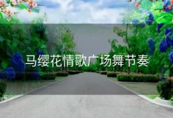 马缨花情歌广场舞节奏
