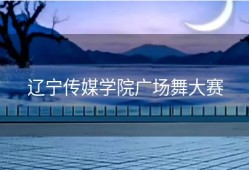 辽宁传媒学院广场舞大赛