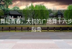 舞动青春，大叔的广场舞十六步指南