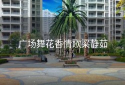 广场舞花香情歌梁静茹