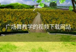 广场舞教学的视频下载网站