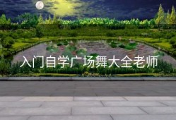 入门自学广场舞大全老师