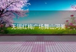 无锡红梅广场舞山河美