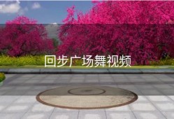 回步广场舞视频