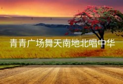 青青广场舞天南地北唱中华