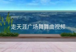 走天涯广场舞舞曲视频
