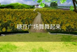 糖豆广场舞舞起来