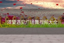 渴望遇见广场舞视频大全