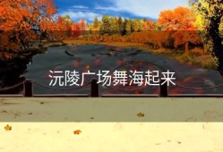 沅陵广场舞海起来