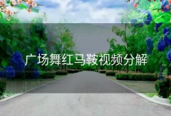 广场舞红马鞍视频分解