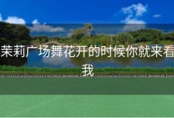 茉莉广场舞花开的时候你就来看我