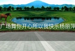 广场舞你开心所以我快乐杨丽萍