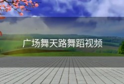 广场舞天路舞蹈视频