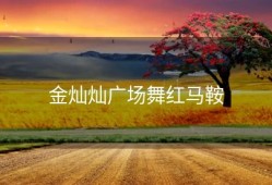 金灿灿广场舞红马鞍