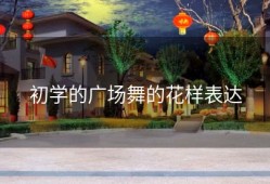 初学的广场舞的花样表达