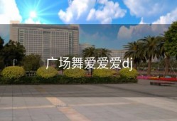 广场舞爱爱爱dj
