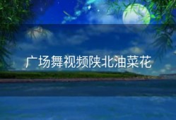 广场舞视频陕北油菜花