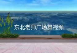 东北老师广场舞视频