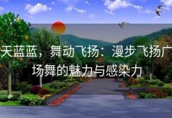天蓝蓝，舞动飞扬：漫步飞扬广场舞的魅力与感染力