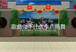 歌曲你牛什么牛广场舞